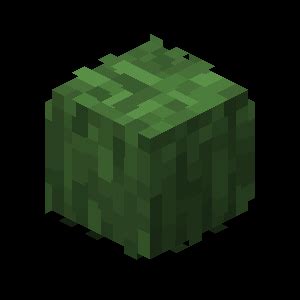 overgrown grass skyblock